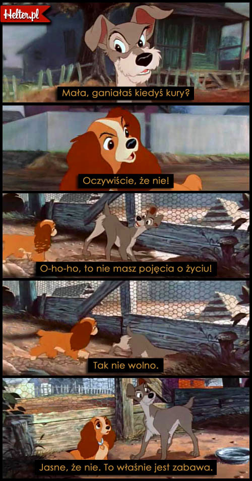 Cytaty Z Bajki Zakochany Kundel Disney Helterpl